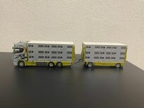 IMC TGC Scania S Series Livestock Combination