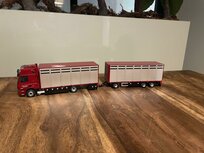 Kassing de Raaphof bv Bunnik DAF