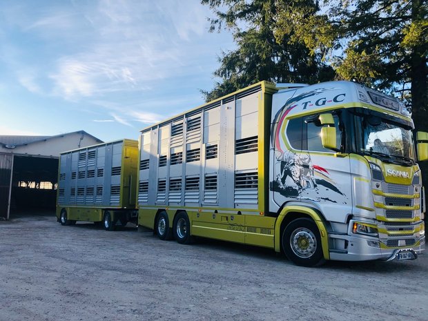 UITVERKOCHT! - IMC TGC Scania S Series Livestock Combination